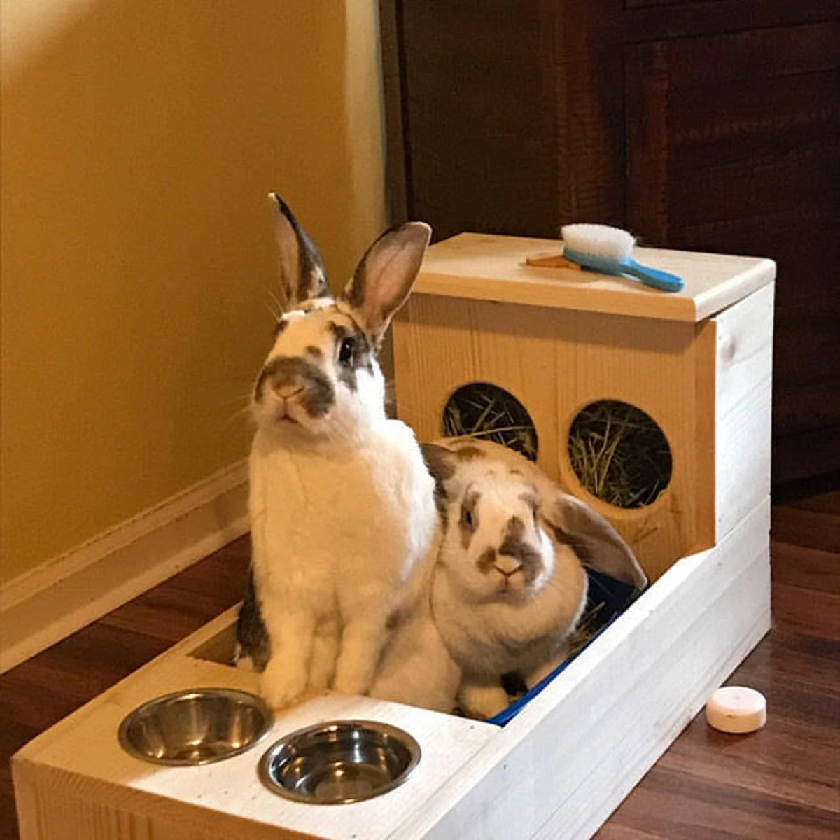 Large 2024 rabbit feeders