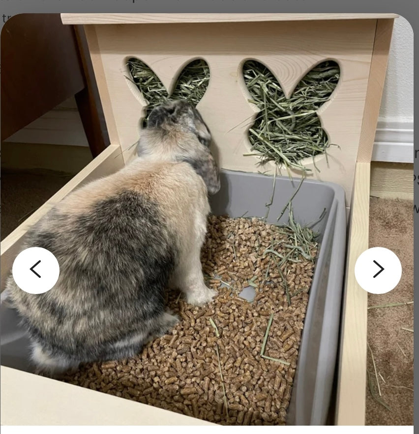 XL Rabbit Hay Feeder With Litter Box-rabbit hay holes